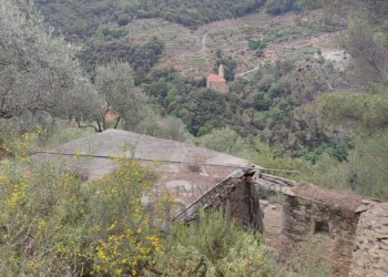 Terreno agricolo Frazione Verrandi, Ventimiglia - foto 5