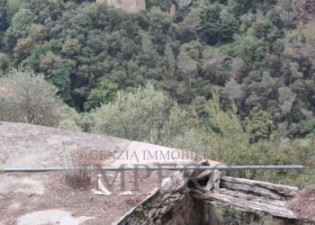 Terreno agricolo Frazione Verrandi, Ventimiglia - foto 6