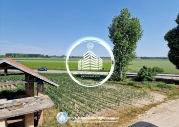 Terreno - Rustic via Racconigi, Carmagnola - photo 8