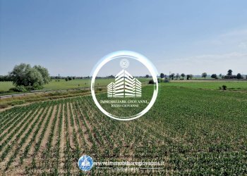 Terreno - Rustic via Racconigi, Carmagnola - photo 10