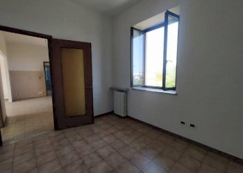 Capannone strada Statale Monregalese, 20, Pianfei - foto 8