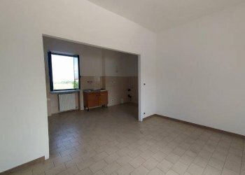 Capannone strada Statale Monregalese, 20, Pianfei - foto 10