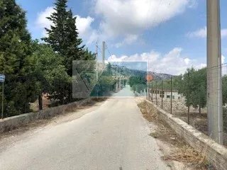 Terreno agricolo Via Monti Climiti, Priolo Gargallo - foto 3