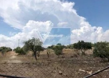 Terreno agricolo Via Monti Climiti, Priolo Gargallo - foto 4