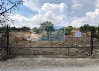 Terreno agricolo Via Monti Climiti, Priolo Gargallo - foto 6