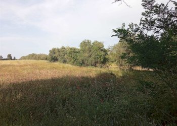 Terreno agricolo -, Vetralla - foto 3