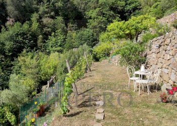 Independent house strada provinciale, Dolceacqua - photo 11