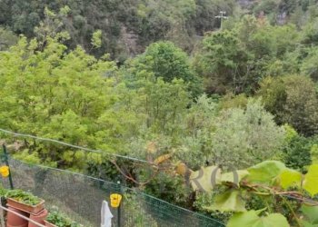 Independent house strada provinciale, Dolceacqua - photo 15