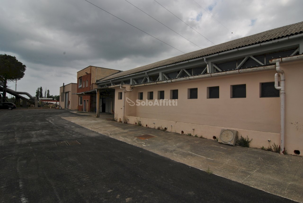 RETRO - Shed Collesalvetti - photo 1