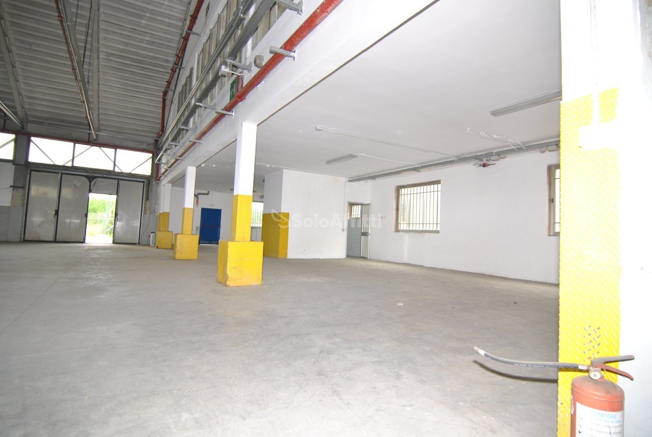 INTERNO - Shed Collesalvetti - photo 3