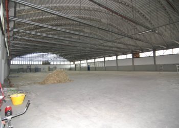 INTERNO - Capannone Collesalvetti - foto 2