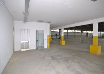 INTERNO - Capannone Collesalvetti - foto 6