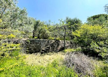 GIARDINO - Villa via Camillo Benso di Cavour, 104, Recco - foto 8