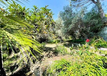 GIARDINO - Villa via Camillo Benso di Cavour, 104, Recco - foto 13