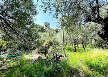 GIARDINO - Villa via Camillo Benso di Cavour, 104, Recco - foto 23