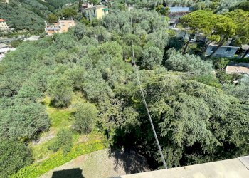 GIARDINO - Villa via Camillo Benso di Cavour, 104, Recco - foto 24