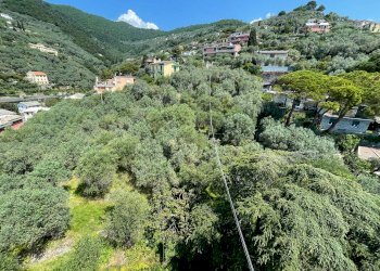 GIARDINO - Villa via Camillo Benso di Cavour, 104, Recco - foto 28
