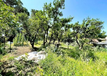 GIARDINO - Villa via Camillo Benso di Cavour, 104, Recco - foto 30