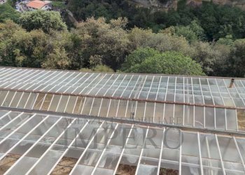 Villa Via Martinazzi, Camporosso - foto 14