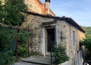 IMG_2781.jpg - Rustico Sarzana - foto 2