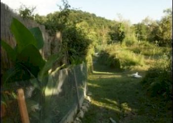 Terreno - Rustico Sarzana - foto 4