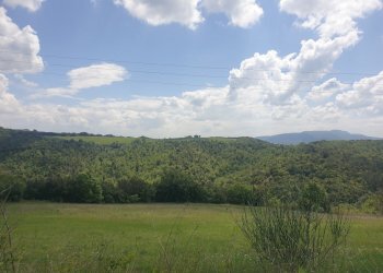 20220509_120807.jpg - Casale Località Prodo, Orvieto - foto 2