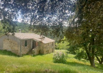 20220509_121530.jpg - Casale Località Prodo, Orvieto - foto 3