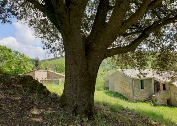 20220509_121615.jpg - Casale Località Prodo, Orvieto - foto 6