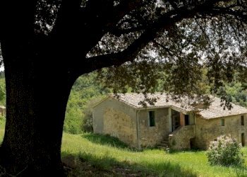 20220509_121622.jpg - Casale Località Prodo, Orvieto - foto 7