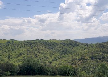 20220509_120804.jpg - Casale Località Prodo, Orvieto - foto 8