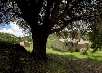 20220509_121637.jpg - Casale Località Prodo, Orvieto - foto 9