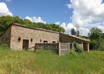 20220509_121718.jpg - Casale Località Prodo, Orvieto - foto 10