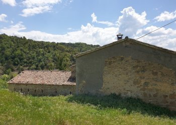 20220509_121728.jpg - Casale Località Prodo, Orvieto - foto 11