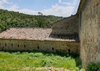 20220509_121745.jpg - Casale Località Prodo, Orvieto - foto 12