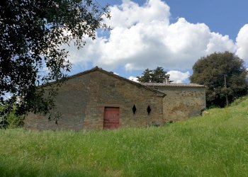 20220509_121827.jpg - Casale Località Prodo, Orvieto - foto 14