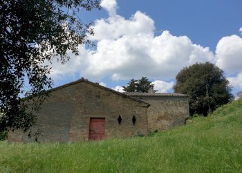 20220509_121833.jpg - Casale Località Prodo, Orvieto - foto 16