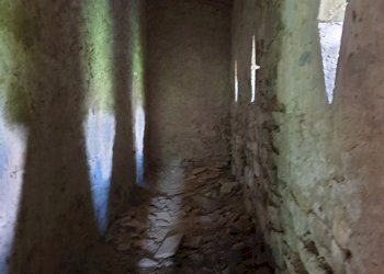 20220509_121911.jpg - Casale Località Prodo, Orvieto - foto 19