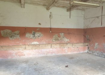 20220509_122118.jpg - Casale Località Prodo, Orvieto - foto 27