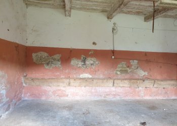 20220509_122123.jpg - Casale Località Prodo, Orvieto - foto 28