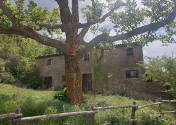 20220509_125602.jpg - Casale Località Prodo, Orvieto - foto 19