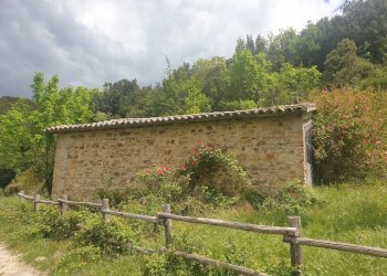 20220509_125607.jpg - Casale Località Prodo, Orvieto - foto 17