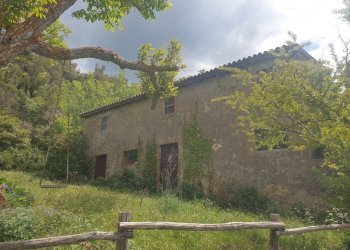 20220509_125619.jpg - Casale Località Prodo, Orvieto - foto 12