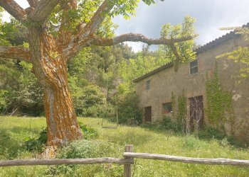 20220509_125623.jpg - Casale Località Prodo, Orvieto - foto 13