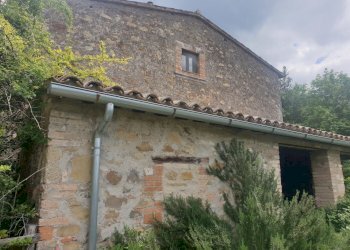 20220509_125650.jpg - Casale Località Prodo, Orvieto - foto 14