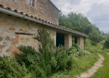 20220509_125652.jpg - Casale Località Prodo, Orvieto - foto 15