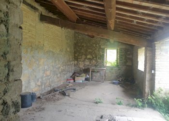 20220509_125725.jpg - Casale Località Prodo, Orvieto - foto 21