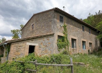 20220509_125809.jpg - Casale Località Prodo, Orvieto - foto 23