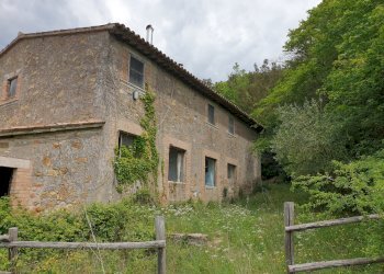 20220509_125811.jpg - Casale Località Prodo, Orvieto - foto 24