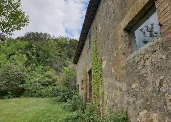 20220509_125850.jpg - Casale Località Prodo, Orvieto - foto 26