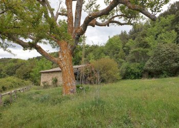 20220509_125852.jpg - Casale Località Prodo, Orvieto - foto 27